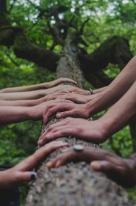 Photo shows several people's hands resting on the trunk of a fallen tree.